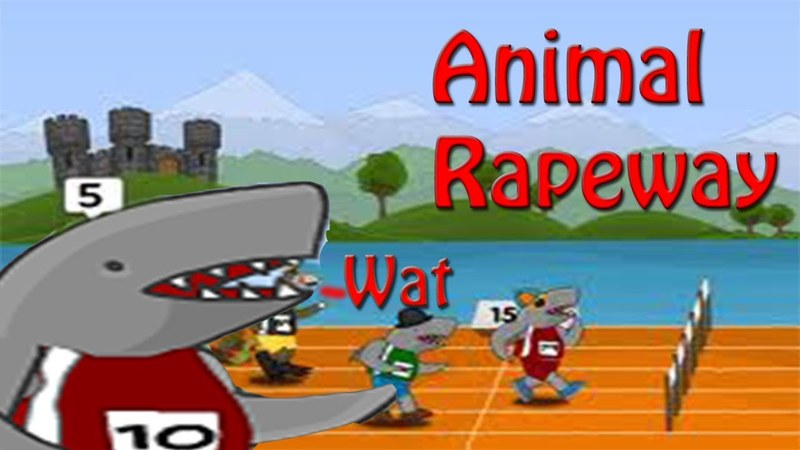 Animal Raceway