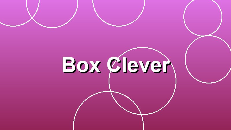 Box Clever