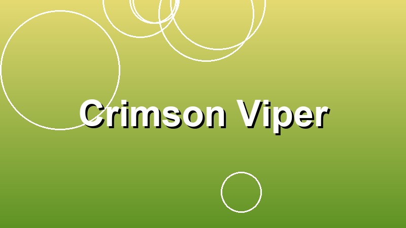 Crimson Viper