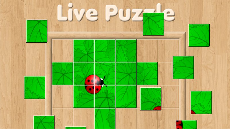 Live Puzzle