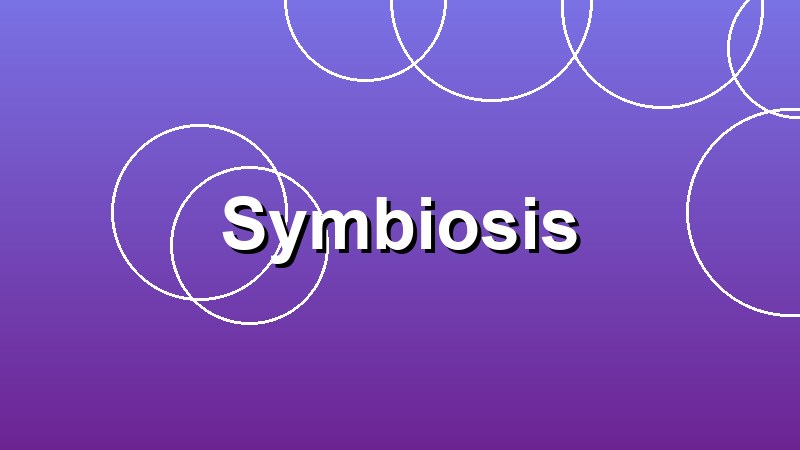 Symbiosis